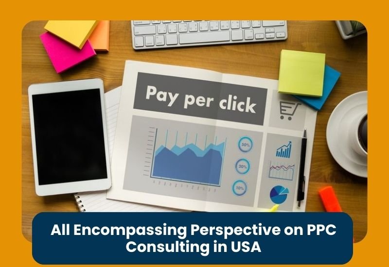 All Encompassing Perspective on PPC Consulting in USA