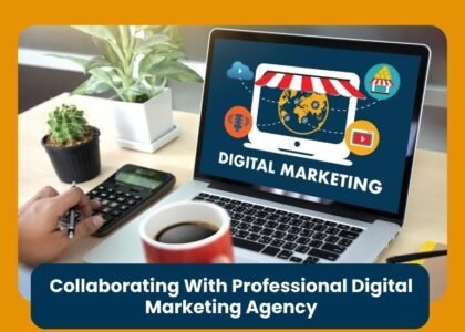Collaborating With Professional Digital Marketing Agency
