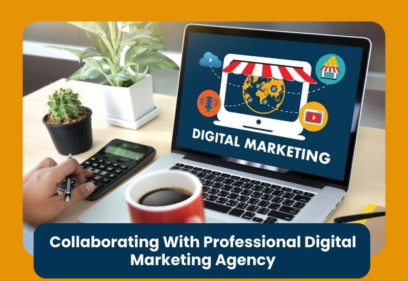 Collaborating With Professional Digital Marketing Agency